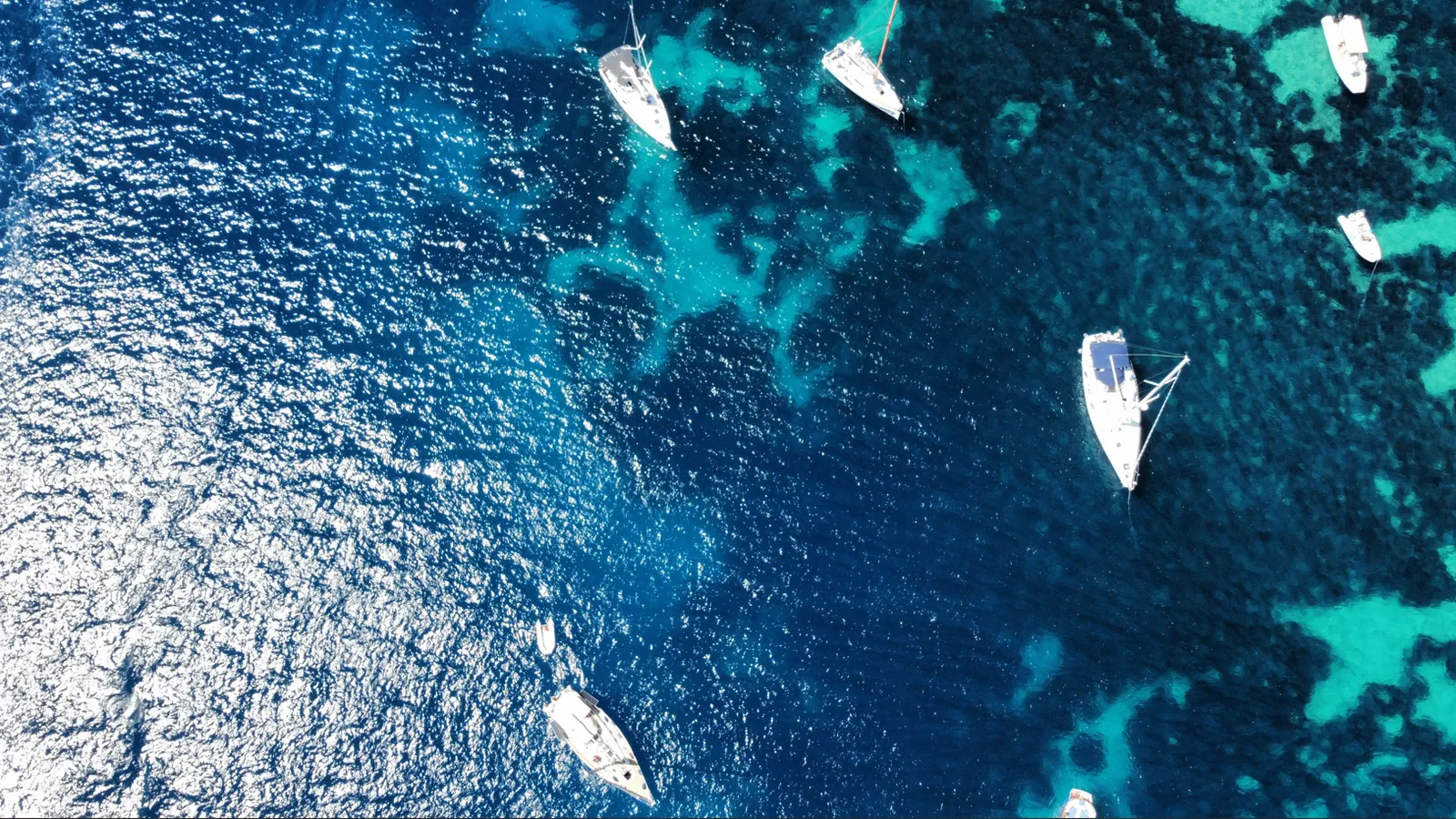 Ankerfeld mit Yachten